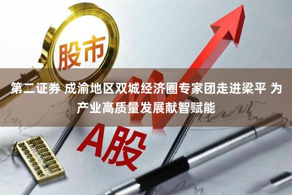 第二证券 成渝地区双城经济圈专家团走进梁平 为产业高质量发展献智赋能